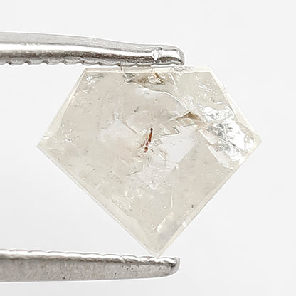 Pentagon 0.92 Ct Natural White Salt & Pepper Loose Diamond | Anniversary Ring Stone