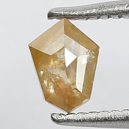0.35 Ct Shield Shape Yellow Rustic Diamond | Natural 5.5 mm Loose Earth Mined Diamond