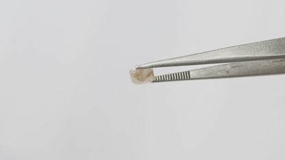 1.14 Ct Rustic Diamond | 5.90 mm Square Emerald Cut Natural Reddish Brown Loose Diamond for Custom Ring